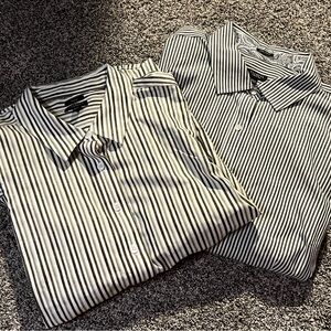 BOGO FREE Talbots Iron Free Blouse Petite  Wrinkle Resistant Blouse Bundle